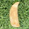 Antique Sperm Whale Tooth
